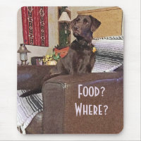 Labrador retriever del chocolate en silla