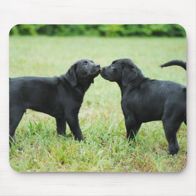 Alfombrilla De Ratón Labrador retriever negro (Frente)