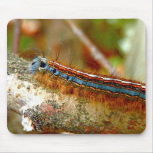 Alfombrilla De Ratón Lackey Moth Caterpillar Mouse Mat
