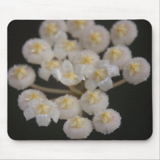 Alfombrilla De Ratón Lacunosa Mousepad de Hoya