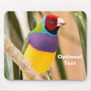 Alfombrilla De Ratón Lady Gouldian Finch