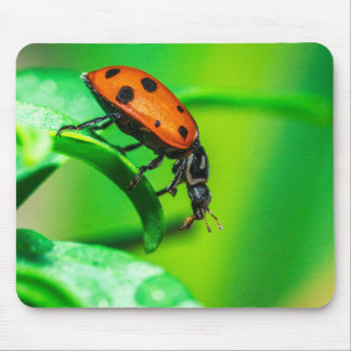 Alfombrilla De Ratón Ladybug Mouse Pad | Nature Desk Setup