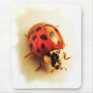 Alfombrilla De Ratón Ladybug Mousepad