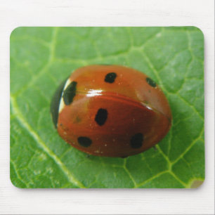 Alfombrilla De Ratón Ladybug Mousepad