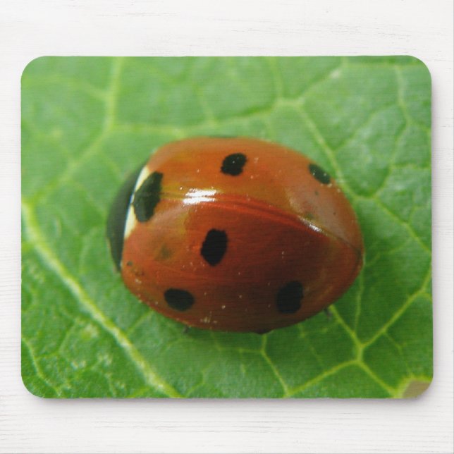 Alfombrilla De Ratón Ladybug Mousepad (Frente)