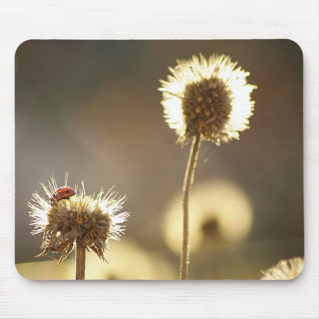 Alfombrilla De Ratón Ladybug Mousepad (Frente)