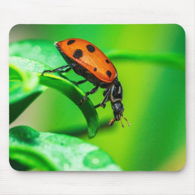 Alfombrilla De Ratón Ladybug on Leaf – Macro Nature Photo Art Print (Frente)
