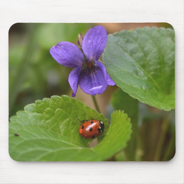 Alfombrilla De Ratón Ladybug sobre las dulces flores violetas (Frente)