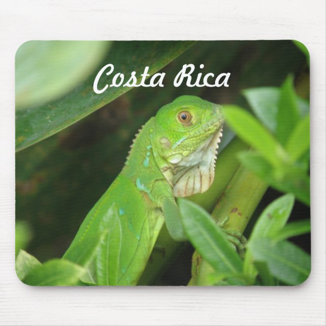 Alfombrilla De Ratón Lagarto de Rican de la costa (Frente)