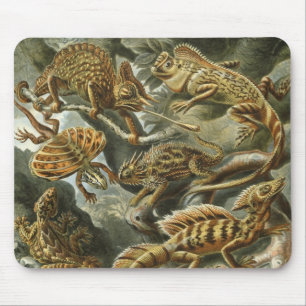 Alfombrilla De Ratón Lagartos por Ernst Haeckel Lacertilia Animal Vinta