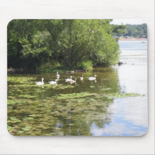 Alfombrilla De Ratón Lago swan