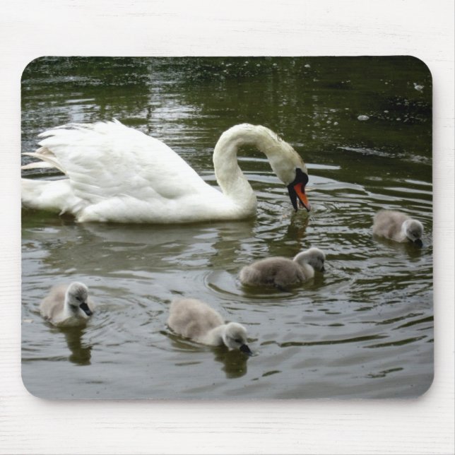 Alfombrilla De Ratón Lago Swan - Mousepad (Frente)