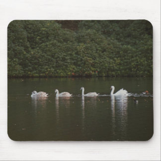 Alfombrilla De Ratón Lago Swan Mousepad