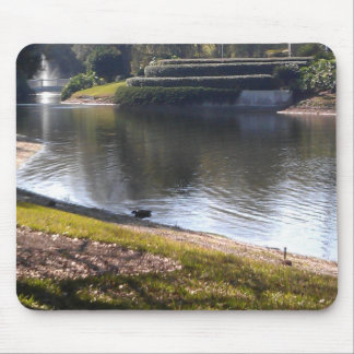 Alfombrilla De Ratón Lago y Piedra
