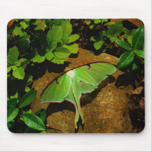 Alfombrilla De Ratón Lágrima luna verde gigante