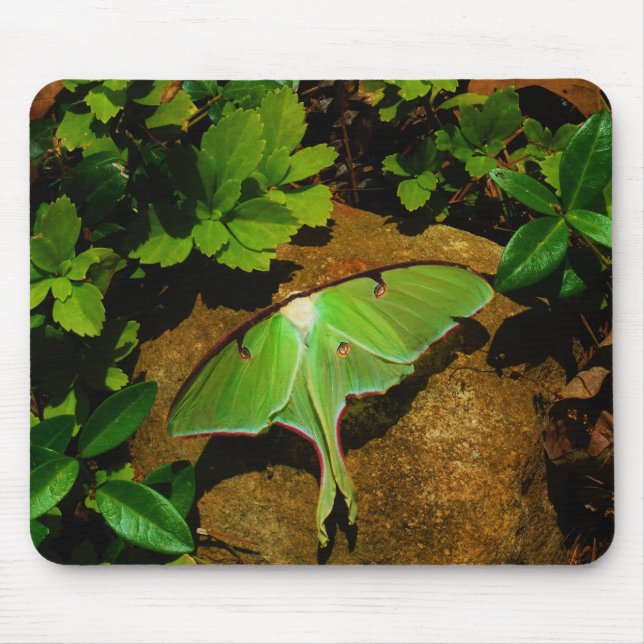 Alfombrilla De Ratón Lágrima luna verde gigante (Frente)