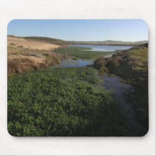 Alfombrilla De Ratón Laguna de Abbotts I en Point Reyes National Seasho