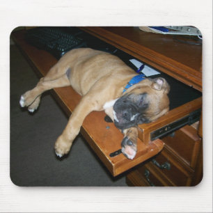 Alfombrilla De Ratón Laila que duerme en mousepad del escritorio del