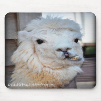 Alfombrilla De Ratón Lama Mousepad