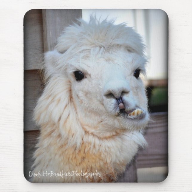 Alfombrilla De Ratón Lama Mousepad (Frente)
