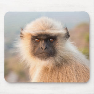 Alfombrilla De Ratón Langurs Adorables Presbytis Entellus