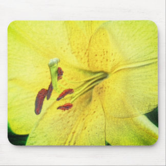 Alfombrilla De Ratón Lápiz de flores amarillo Lily Flower