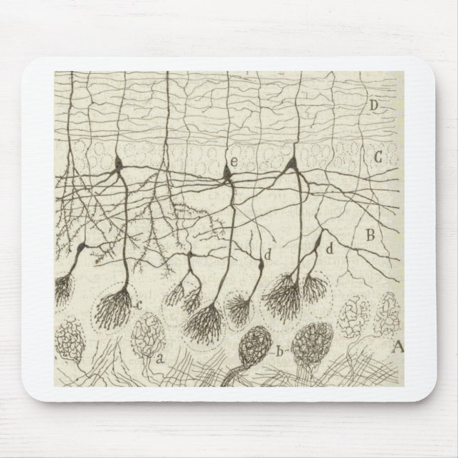 Alfombrilla De Ratón Las neuronas 8 de Cajal (Frente)