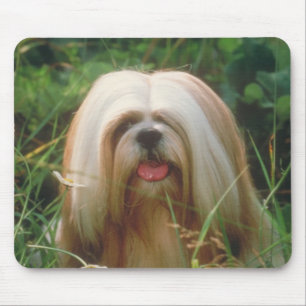 Alfombrilla De Ratón Lasa Apso
