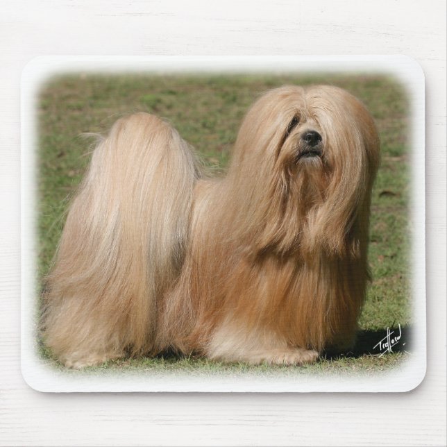 Alfombrilla De Ratón Lasa Apso 9Y394D-079 (Frente)