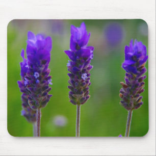 Alfombrilla De Ratón lavanda