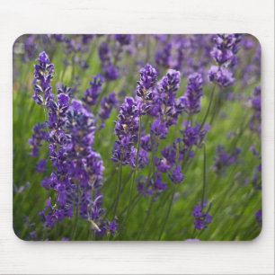 Alfombrilla De Ratón Lavendar el   Lavendel