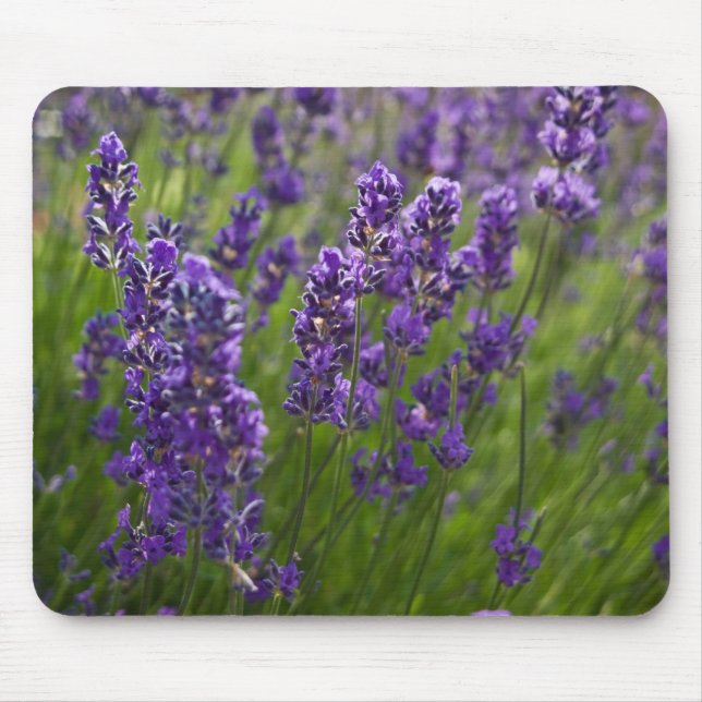 Alfombrilla De Ratón Lavendar el | Lavendel (Frente)