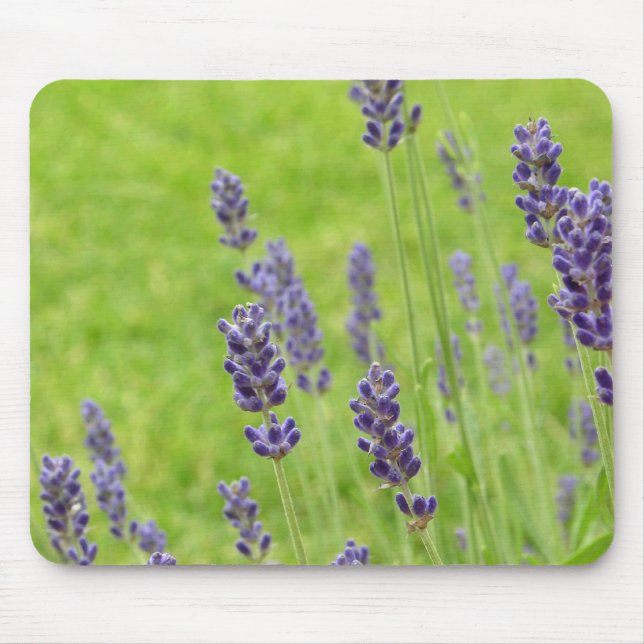 Alfombrilla De Ratón Lavendar Mousepad (Frente)