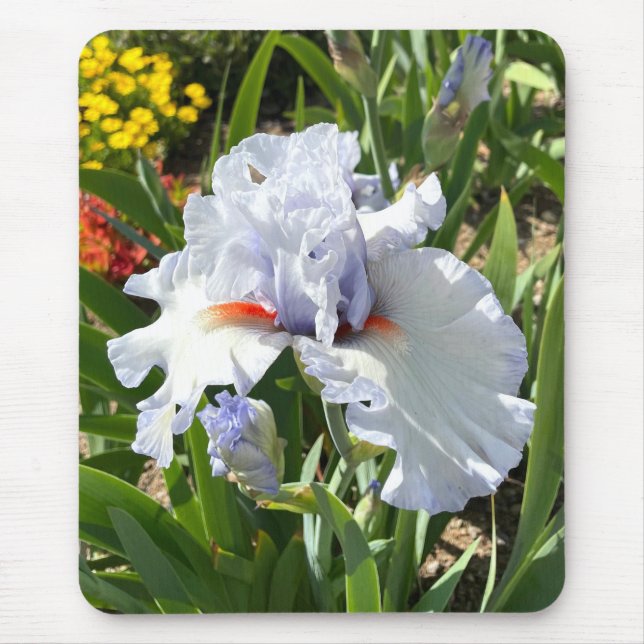 Alfombrilla De Ratón Lavender Iris Mouse Pad (Frente)