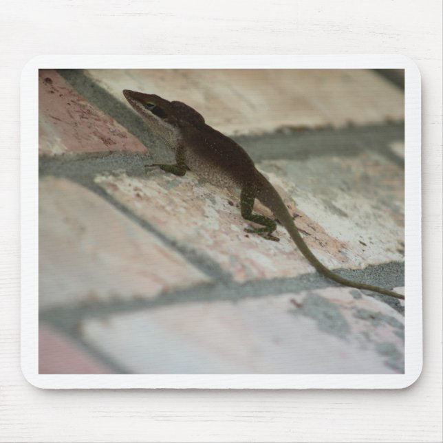 Alfombrilla De Ratón Lazy Lizard (Frente)
