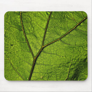 Alfombrilla De Ratón Leaf. Butterbur verde