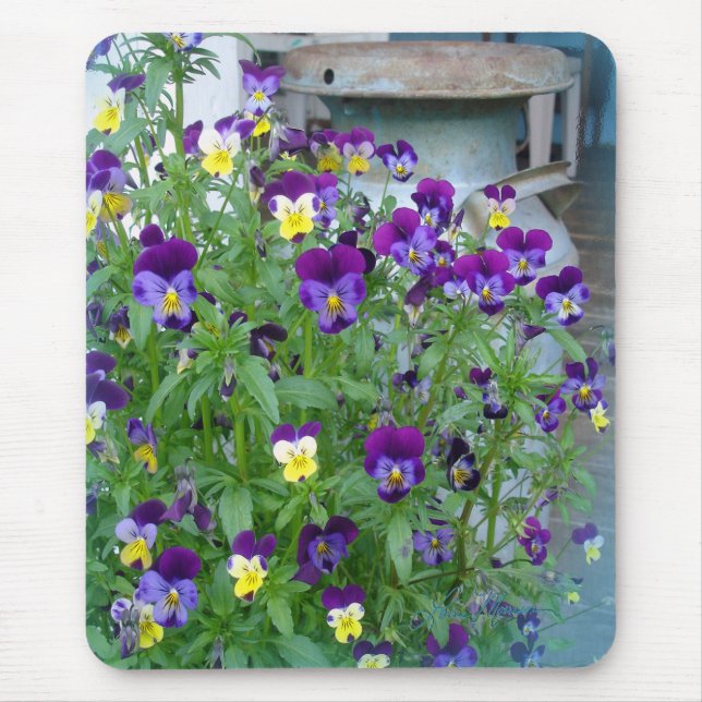 Alfombrilla De Ratón LeAnn: Violets Mousepad (Frente)