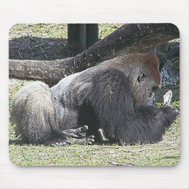 Alfombrilla De Ratón Lecciones libres del póker (Frente)