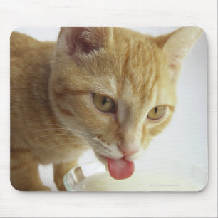 Alfombrilla De Ratón Leche de consumo del gato
