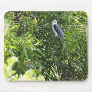 Alfombrilla De Ratón Lechuza colgada en un árbol