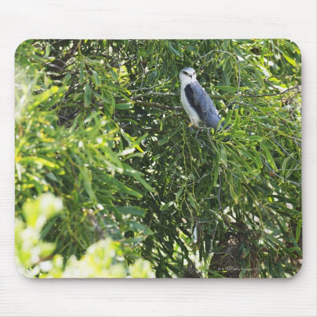 Alfombrilla De Ratón Lechuza colgada en un árbol (Frente)