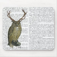 Lechuza con Antlers llano 2