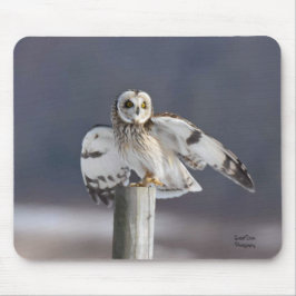 Alfombrilla De Ratón Lechuza Corta 2