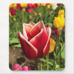 Alfombrilla De Ratón Leen Van Der Mark Tulip, Oregon