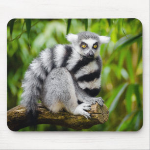 Alfombrilla De Ratón Lemobius