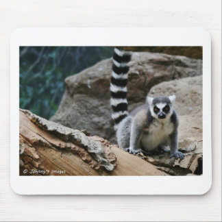 Alfombrilla De Ratón Lemur atado anillo