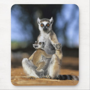 Alfombrilla De Ratón Lémur de cola anillada, (Lemur catta), Madre e