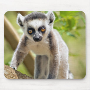 Alfombrilla De Ratón Lémur de cola anillada para bebés