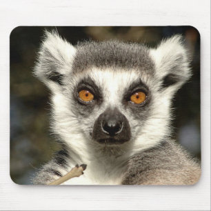 Alfombrilla De Ratón Lemur Mousepad