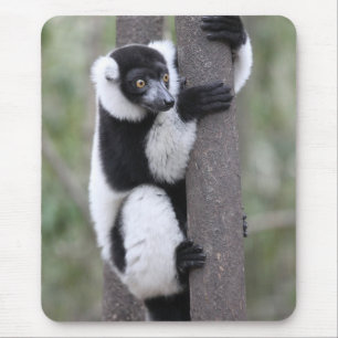 Alfombrilla De Ratón Lemur superado blanco y negro en árbol